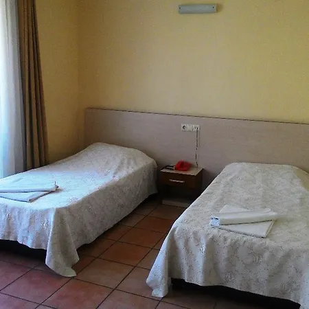 Erciyes Hotel 2*