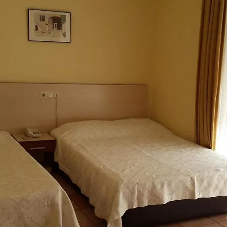 Erciyes Hotel 2*